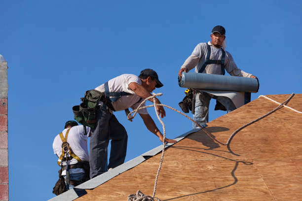 Best Gutter Installation and Roofing  in University, MS
