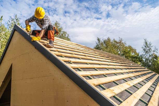 Best Roof Gutter Cleaning  in University, MS