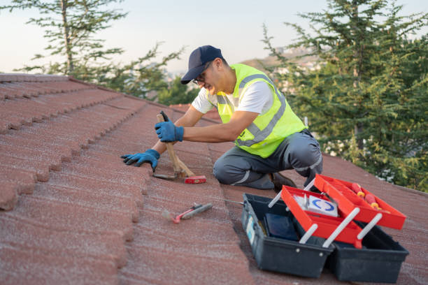 Best New Roof Installation  in University, MS