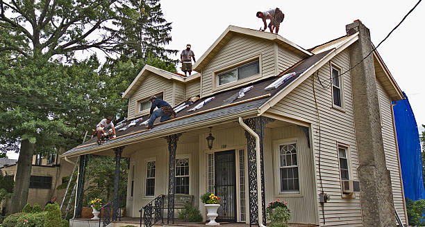 Best Shingle Roofing Installation  in University, MS