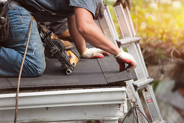 Best New Roof Installation  in University, MS
